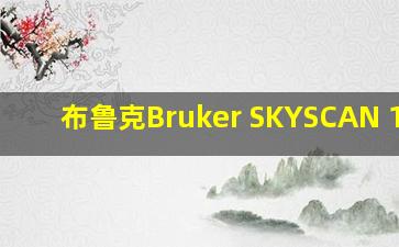 布鲁克Bruker SKYSCAN 1272